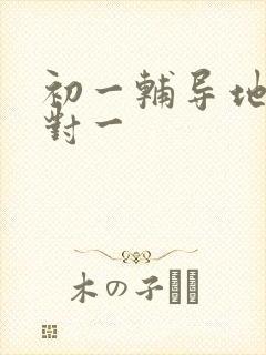 初一辅导地理一对一