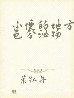 小便的地方有黄色分泌物