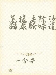 怎样去除沙发上猫尿骚味道