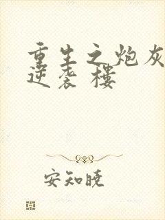 重生之炮灰女的逆袭 楼