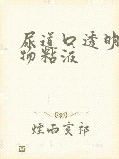 尿道口透明分泌物粘液