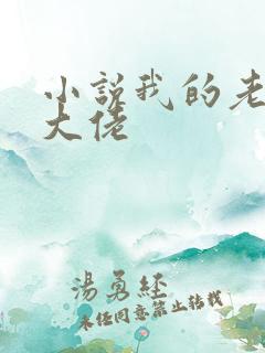 小说我的老公是大佬