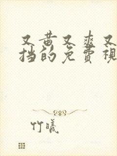 又黄又爽又无遮挡的免费视频