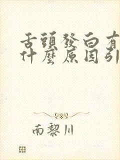 舌头发白有泡是什么原因引起的