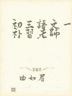 初三语文一对一补习老师