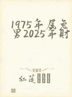 1975年属兔男2025年财运如何