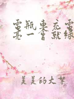 电瓶车充电红灯亮一会就绿灯