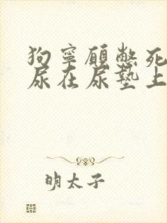 狗宁愿憋死也不尿在尿垫上