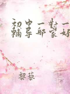 初中一对一上门辅导哪家好