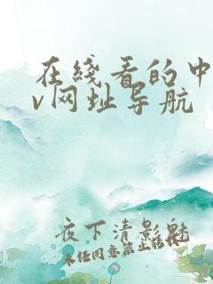 在线看的中文av网址导航