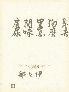 房间里狗臭味狗尿味怎么去除