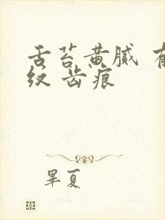 舌苔黄腻 有裂纹 齿痕