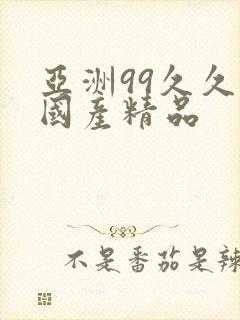 亚洲99久久久国产精品