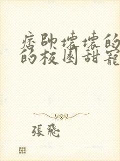 痞帅坏坏的校霸的校园甜宠文