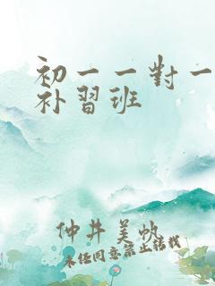 初一一对一数学补习班