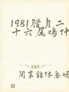 1981腊月二十六属鸡什么命运