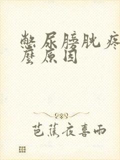 憋尿膀胱疼是什么原因