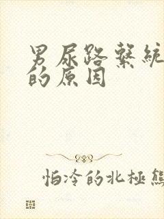 男尿路系统感染的原因