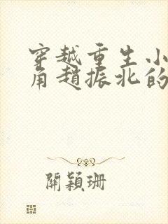 穿越重生小说主角赵振北的小说