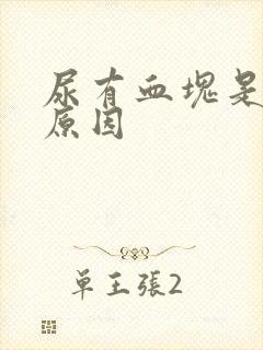 尿有血块是什么原因