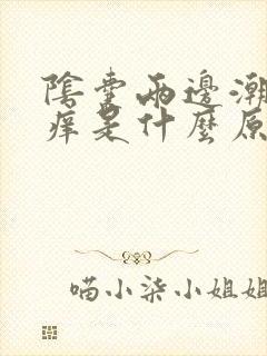 阴囊两边潮湿瘙痒是什么原因造成的