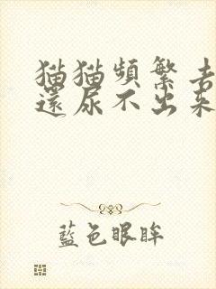 猫猫频繁去尿 还尿不出来