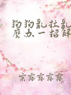 狗狗乱拉乱尿怎么办一招解决