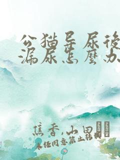 公猫导尿后一直漏尿怎么办