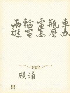 两轮电瓶车充不进电怎么办