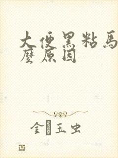 大便黑粘马桶什么原因