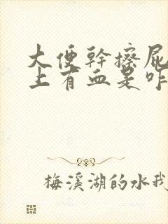 大便干擦屁股纸上有血是咋回事