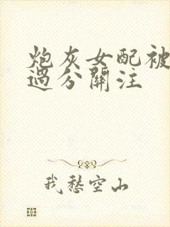 炮灰女配被男主过分关注