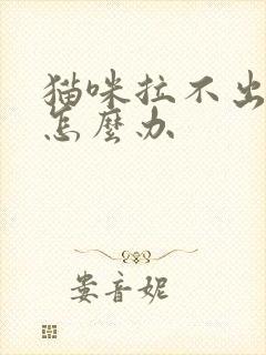 猫咪拉不出屎尿怎么办