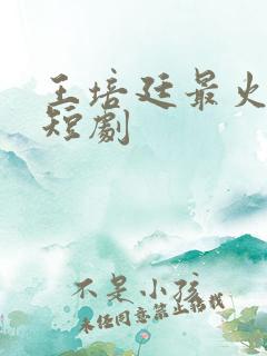 王培廷最火三部短剧