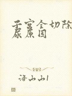 子宫全切除后漏尿原因