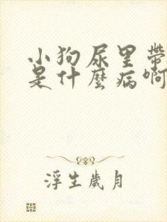 小狗尿里带点血是什么病啊