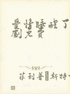 爱情睡醒了电视剧免费