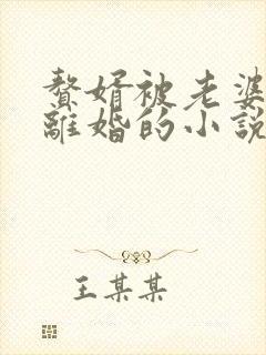 赘婿被老婆嫌弃离婚的小说