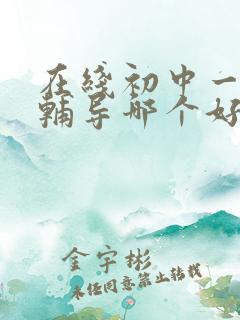 在线初中一对一辅导哪个好