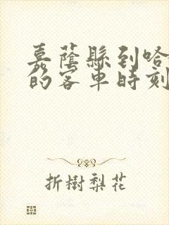 嘉荫县到哈尔滨的客车时刻表