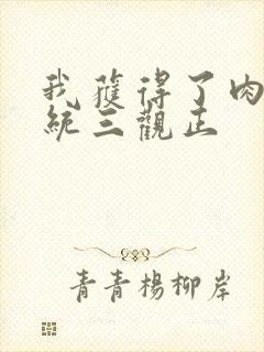 我获得了肉禽系统三观正