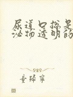 尿道口总是有分泌物透明的