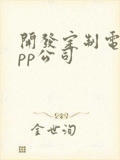 开发定制电商app公司