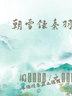 朝雪录秦羽结局