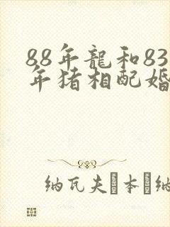 88年龙和83年猪相配婚姻如何