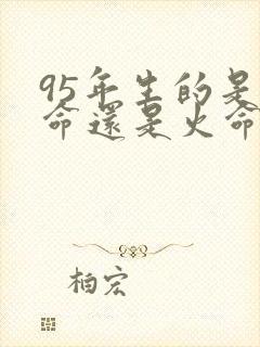 95年生的是木命还是火命