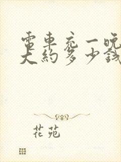 电车充一晚上电大约多少钱