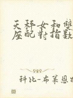 天秤女和双子男座配对指数