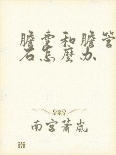 胆囊和胆管有结石怎么办