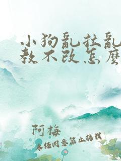 小狗乱拉乱尿屡教不改怎么办